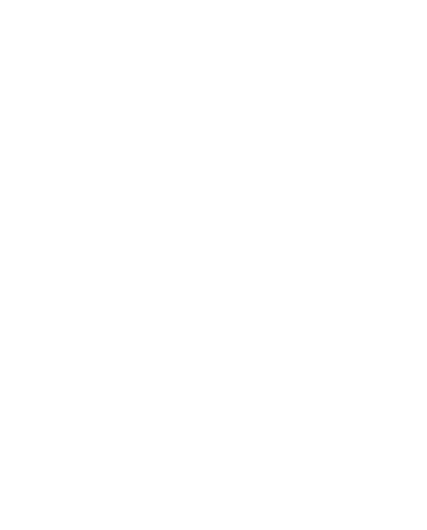 Amet Events